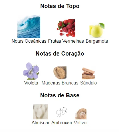 Pirâmide Olfativa (Nosso Produto)