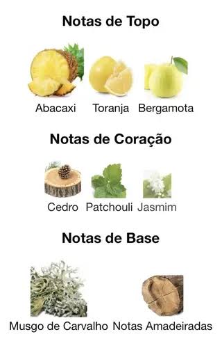 Pirâmide Olfativa (Perfume Inspirado)