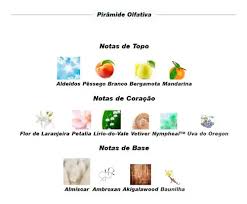 Pirâmide Olfativa (Perfume Inspirado)